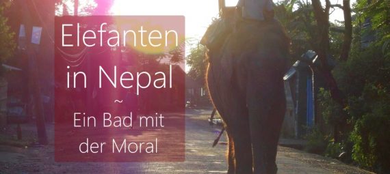 nepal-sauraha-elefant