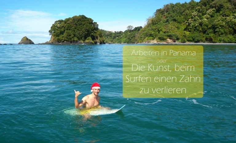 Du Bist Zu Blöd Um Aus Dem Busch Zu Winken