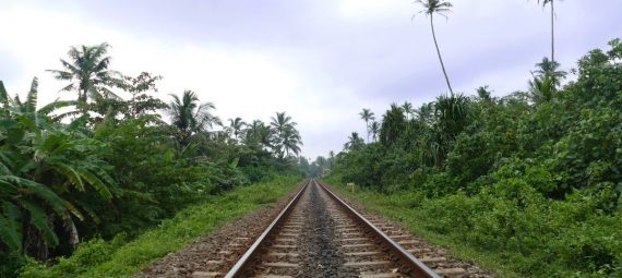 Sri Lanka-Zug-Gleisbett-Palmen
