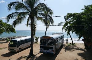 Reisen in Sri Lanka - Fakten und Tipps